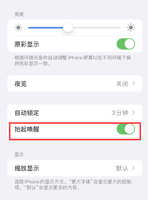 新源苹果授权维修站分享iPhone轻点无法唤醒怎么办