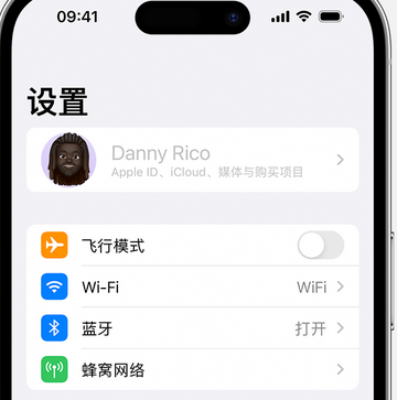 新源appleID维修服务iPhone设置中Apple ID显示为灰色无法使用