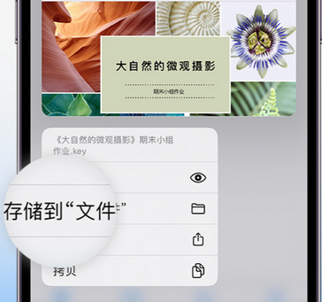 新源apple维修中心分享iPhone文件应用中存储和找到下载文件