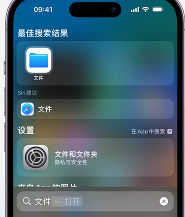 新源apple维修中心分享iPhone文件应用中存储和找到下载文件 