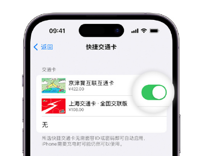 新源apple维修点分享iPhone上更换Apple Pay快捷交通卡手绘卡面 