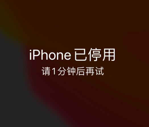 新源苹果手机维修分享:iPhone 显示“不可用”或“已停用”怎么办？还能保留数据吗？ 