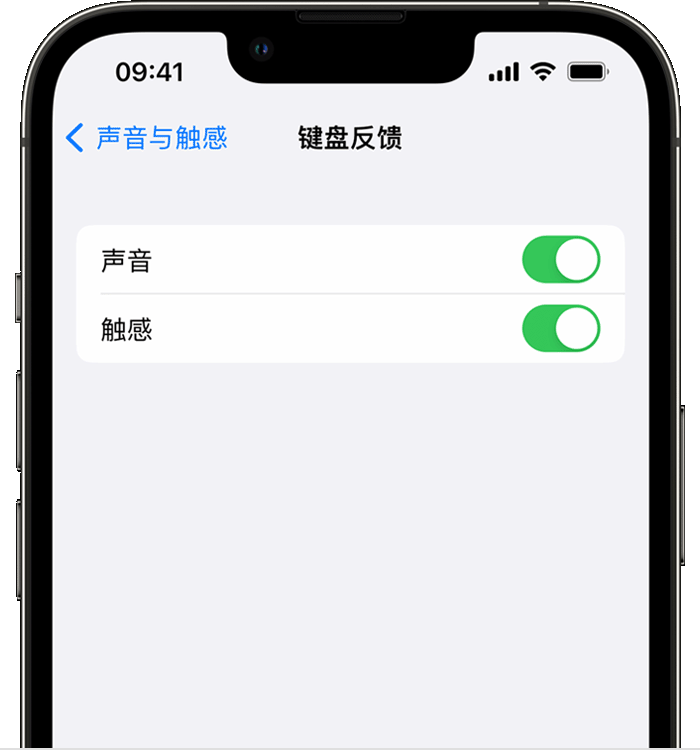 新源苹果14维修店分享如何在 iPhone 14 机型中使用触感键盘 