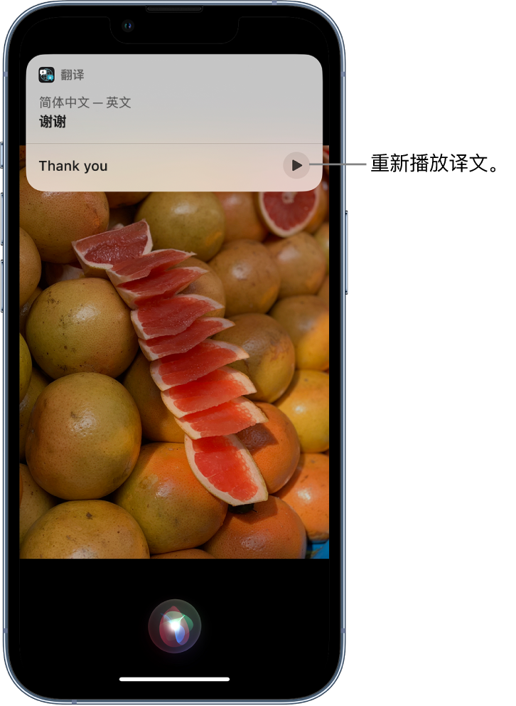 新源苹果14维修分享 iPhone 14 机型中使用 Siri：了解 Siri 能帮你做什么 