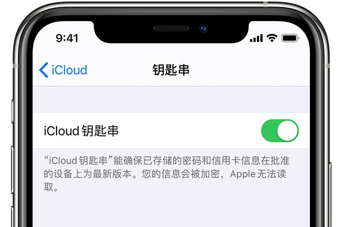 新源苹果手机维修分享在 iPhone 上开启 iCloud 钥匙串之后会储存哪些信息 