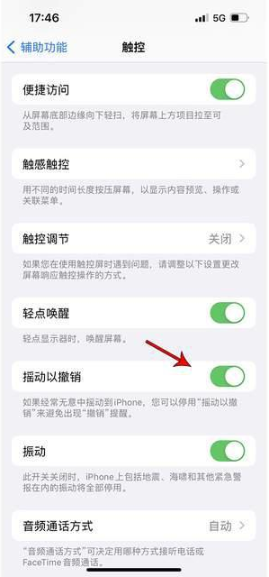 新源苹果手机维修分享iPhone手机如何设置摇一摇删除文字 